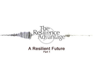 Retrofit and Earthquake Resilience